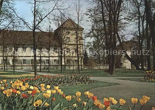 Messkirch Fruehling im Hofgarten Kat. Messkirch