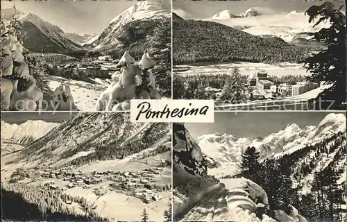 Pontresina  Kat. Pontresina