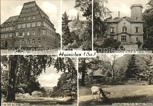 Hainichen Sachsen Parkschloss Park Jungen Pioniers Hischgehege Sparkasse  Kat. Hainichen Sachsen