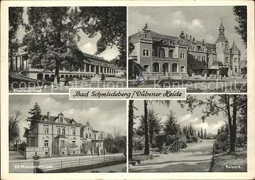 Bad Schmiedeberg Kurhaus Kurpark SV Moorsanatorium Eisenmoorbad  Kat. Bad Schmiedeberg Duebener Heide