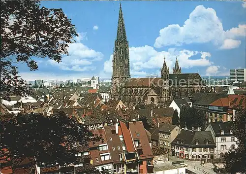 Freiburg Breisgau Schlossberg Muenster  Kat. Freiburg im Breisgau