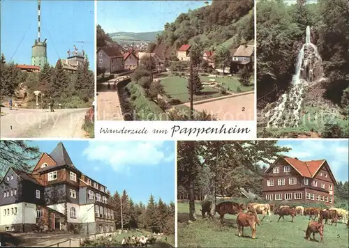 Pappenheim Thueringen Grosser Inselsberg Spiessberghaus Platz der DSF Trusetaler Wasserfall  Kat. Floh Seligenthal