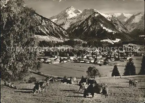 Oberstdorf Panorama Viehweide Kat. Oberstdorf