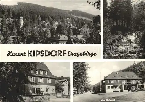 Kipsdorf Teilansicht An der Roten Weisseritz Postamt Bahnhof Kat. Altenberg