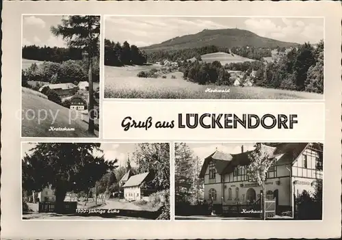 Lueckendorf Kretscham Hochwald 1500jaehrige Eiche Kurhaus Kat. Kurort Oybin