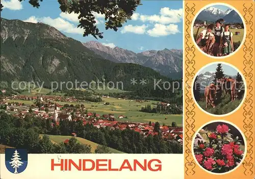 Hindelang und Bad Oberdorf Allgaeuer Alpen Trachten Kuehe Alpenrose Kat. Bad Hindelang