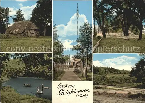 Steinkimmen Waldschaenke Am Fernsehturm Schwanenteich Landschaft Kat. Ganderkesee