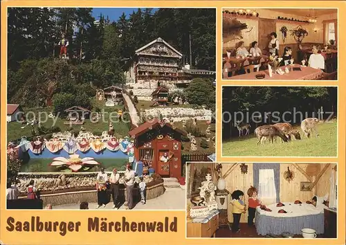 Saalburg Ebersdorf Saalburger Maerchenwald Freizeitpark Tiergehege Restaurant Kat. Saalburg Ebersdorf