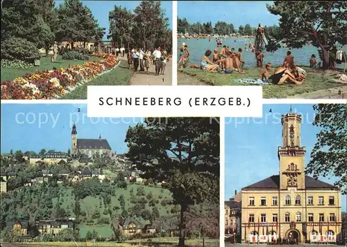 Schneeberg Erzgebirge Park Filzteich Kirche Rathaus Kat. Schneeberg