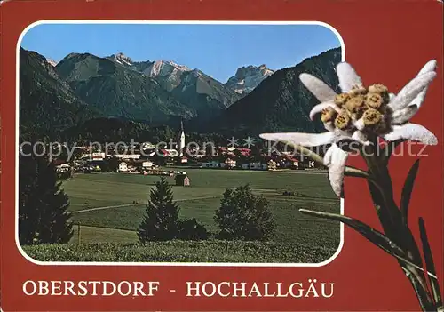 Oberstdorf Totalansicht mit Allgaeuer Alpen Kat. Oberstdorf
