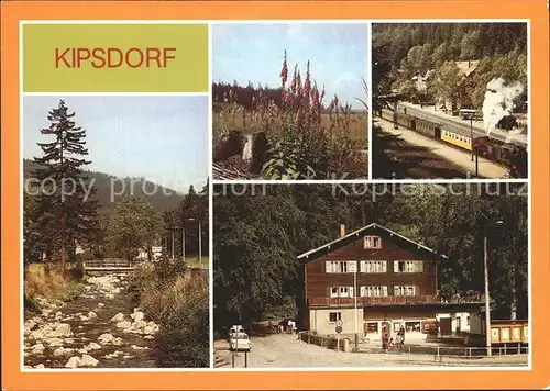 Kipsdorf An der Roten Weisseritz Digitalis Schmalspurbahn Bunte Truhe Kat. Altenberg