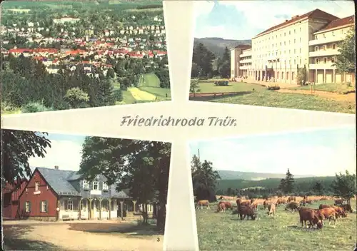 Friedrichroda Panorama FDGB Heim Heuberghaus Rennsteig Viehweide Kuehe Kat. Friedrichroda