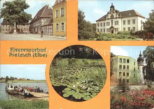Pretzsch Elbe Eisenmoorbad Markt Kinderheim ehem. Schloss Elbfaehre Seerosenteich Kurpark Stadtmuehle Kat. Bad Schmiedeberg