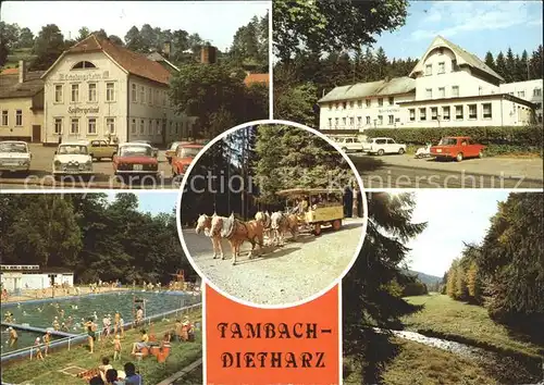 Tambach Dietharz Erholungsheim Spittergrund Apfelstaedter Grund Schwimmbad Kat. Tambach Dietharz