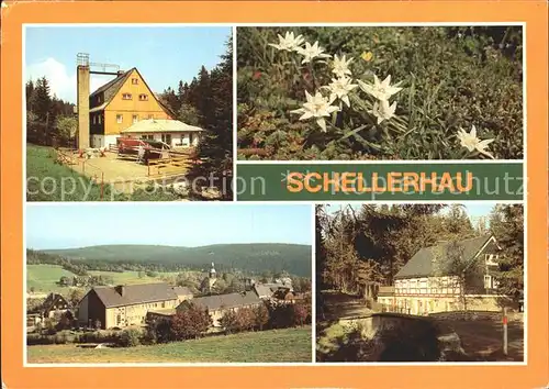 Schellerhau Ferienheim Richterkrone Glueckspilz Elbtalwerk Heidenau Kat. Altenberg