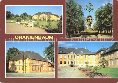 Oranienbaum Schlosspark Orangenbaeumchen am Markt Gaststaette Goldener Hirsch Kat. Oranienbaum