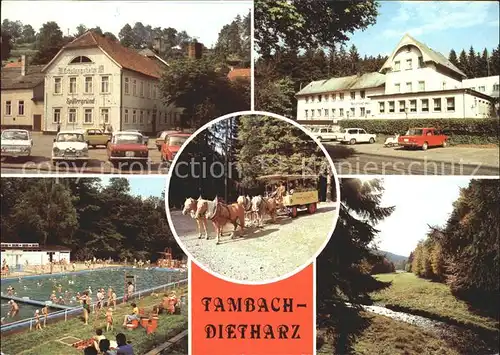 Tambach Dietharz Erholungsheim Spittergrund Gaststaette Rodebachmuehle Kutschfahrt  Kat. Tambach Dietharz