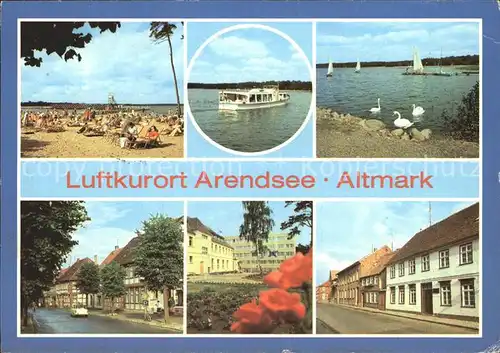 Arendsee Altmark Friedensstrasse Erholungsheim Waldheim  Kat. Arendsee