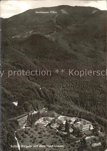 Badenweiler Fliegeraufnahme Schloss Buergeln Hochblauen  Kat. Badenweiler