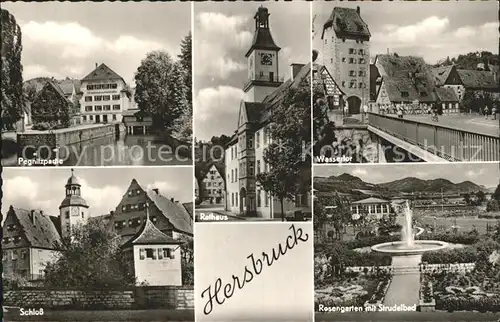 Hersbruck Rosengarten Strudelbad Wassertor Rathaus  Kat. Hersbruck