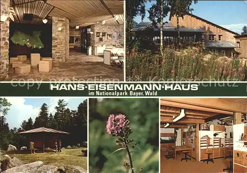 Neuschoenau Hans Heinemann Haus  Kat. Neuschoenau