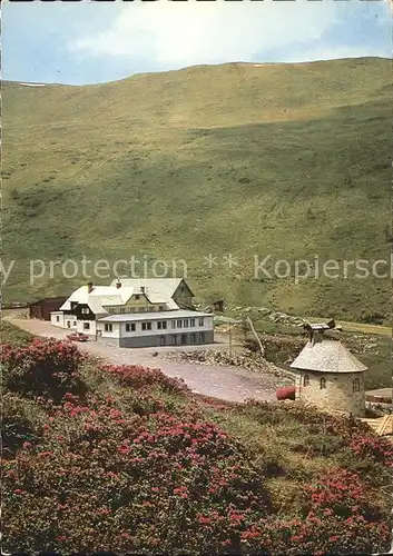 Ramingstein Alpengasthof Kaneralm Kat. Ramingstein