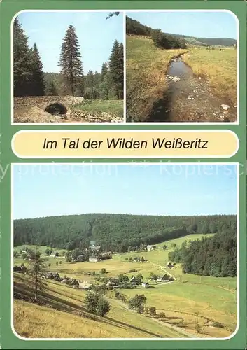 Rehefeld Zaunhaus Im Tal der Wilden Weisseritz Zinnbruecke  Kat. Altenberg