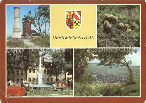 Oberwiesenthal Erzgebirge Wetterwarte Gradmessungssaeule Fichtelberg Laerchenzapfen Springbrunnen am Markt Teilansicht Kat. Oberwiesenthal