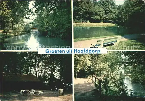 Hoofddorp Park Teich Ziegen Bruecke Kat. Hoofddorp