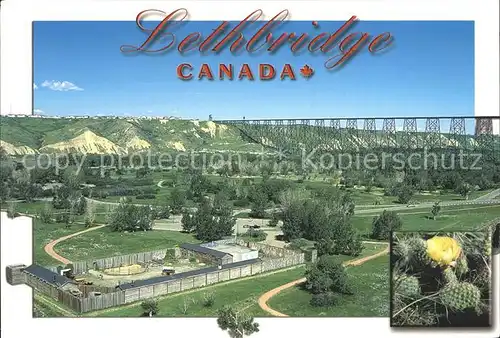 Lethbridge Fliegeraufnahme Kat. Lethbridge