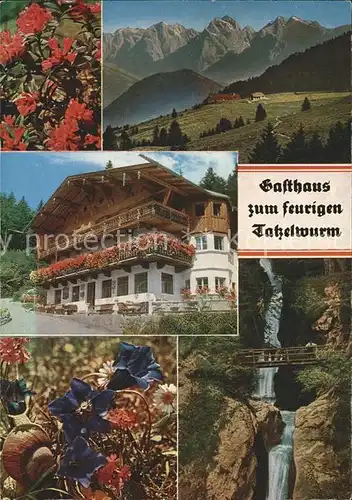 Bayrischzell Gasthaus zum feurigen Tatzelwurm Kat. Bayrischzell