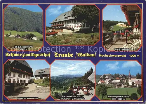 Titisee Neustadt Schwarzwaldgasthof Traube Waldau Kat. Titisee Neustadt