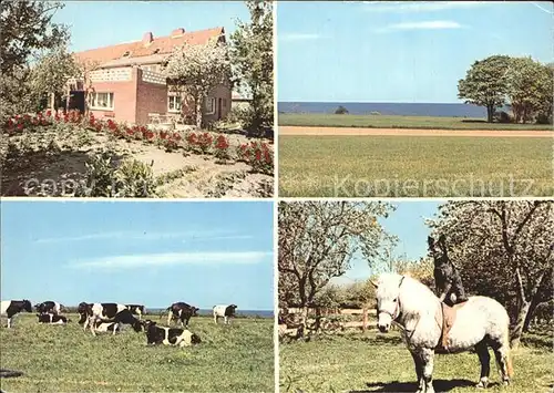 Hohenfelde Kiel Urlaub auf dem Bauernhof Kat. Hohenfelde