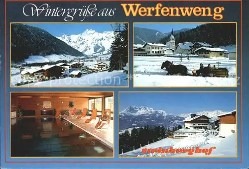 Werfenweng Steinberghof Hotel Restaurant / Werfenweng /Pinzgau-Pongau