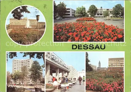 Dessau Rosslau Bauhaus Haus des Reisens Cafe Africana Kat. Dessau Rosslau