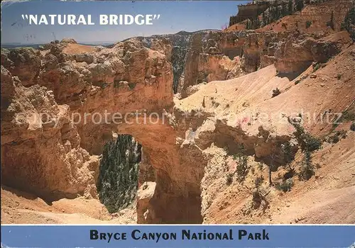 Bryce Canyon National Park Natural Bridge Utah Kat. Bryce Canyon