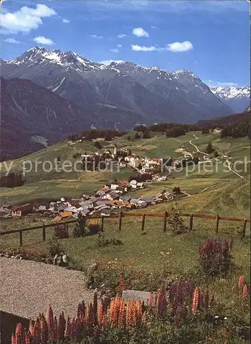 Ftan Ortsansicht Wiesen Berge Kat. Ftan