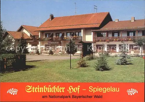 Spiegelau Steinbuechler Hof Bayerischer Wald  Kat. Spiegelau