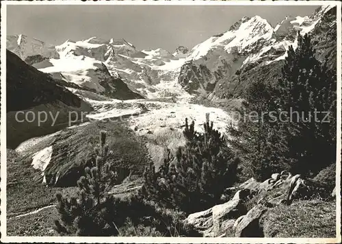 Morteratschgletscher Piz Palue Piz Bernina Kat. Morteratsch