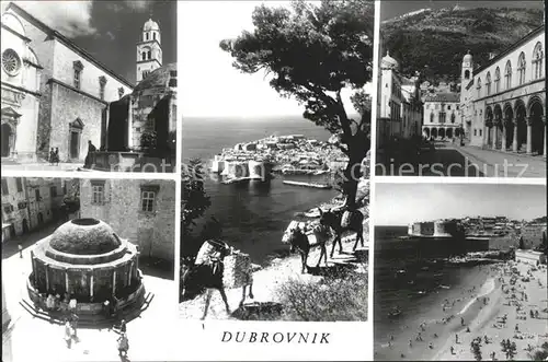 Dubrovnik Ragusa Meer Strand Ansicht Kat. Dubrovnik