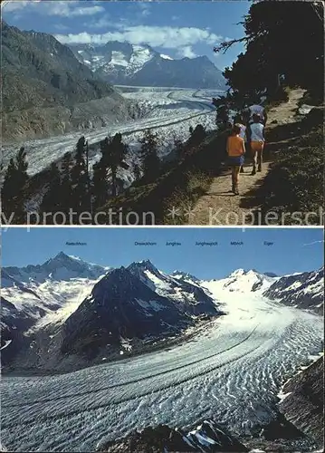 Aletschgletscher Jungfrau Eiger Aletschhorn Kat. Aletsch Grosser