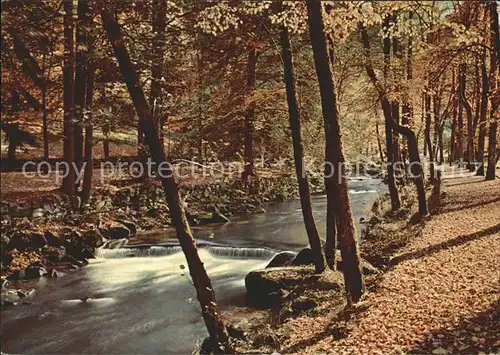 Wildbad Schwarzwald Bachlauf Kat. Bad Wildbad