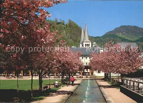 Berchtesgaden Kirschbluete Kurgarten Kat. Berchtesgaden