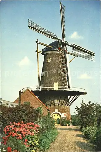 Middelburg Zeeland Windmuehle Kat. Middelburg