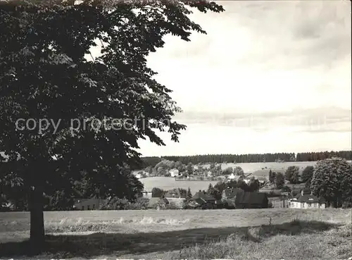 Wernitzgruen  Kat. Erlbach Vogtland