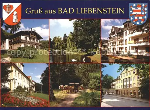 Bad Liebenstein Haus Feodora Elisabethpark Kurheim Edelweiss Kat. Bad Liebenstein