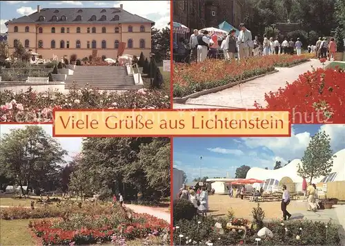 Lichtenstein Sachsen Palais Gruenthal Stadtpark Festplatz Kat. Lichtenstein Sachsen