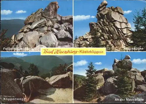 Bad Harzburg Hexenkueche Mausefalle Feigenbaumklippe Klippenweg Kat. Bad Harzburg
