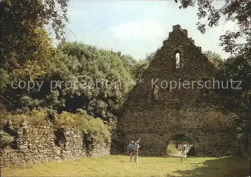 Nossen Klosterruine Altzella Kat. Nossen