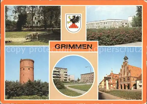 Grimmen Wasserturm Heimattierpark junges Lama Kat. Grimmen